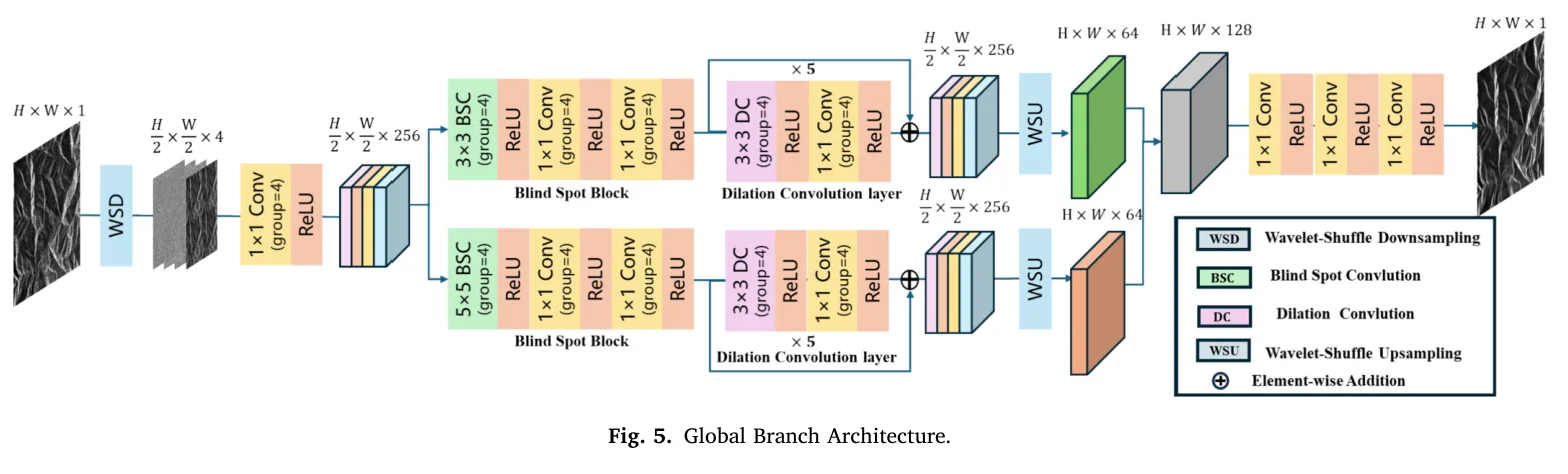 图 5：全局支路。图源：Yang et al., Figure 5, JAG 2026