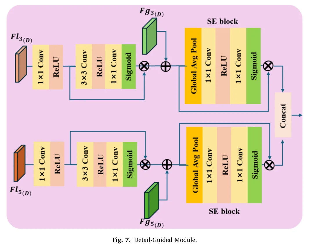 图 7：Detail-Guided Module。图源：Yang et al., Figure 7, JAG 2026
