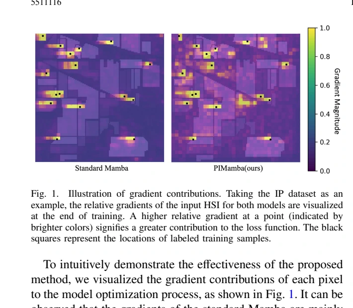 图 1：标准 Mamba 与 PIMamba 的梯度贡献对比，图源：Zhang et al., Figure 1, TGRS 2026