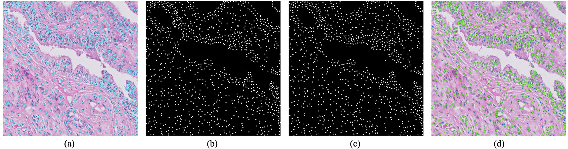 点标注监督到最终检测结果（论文 Fig. 5）